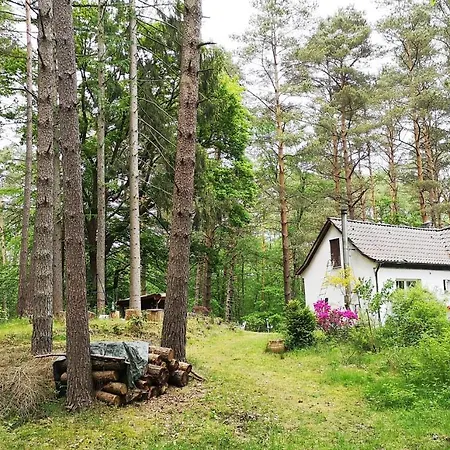 Romantisches Kleines Altes Hauschen Im Zauberwesenwald Villa